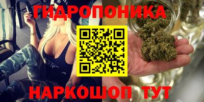 PSILOCYBIN Абакан