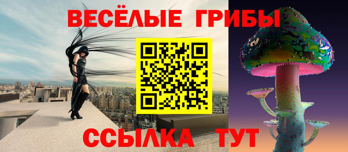 Галлюциногенные грибы Psilocybine cubensis  Вход с VPN  Апатиты 